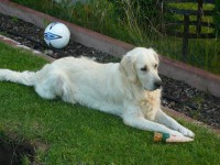 /album/fotogalerie/a2-5-7-2011-027-jpg1/